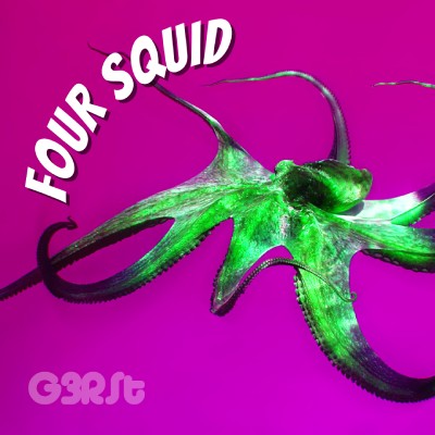 Four Squid